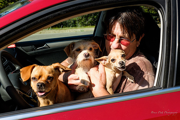 Four dogs and a man taken hostage  by a construction flagger in Idaho.