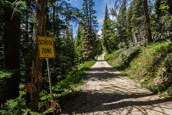 Up on River Street, on the outskirts of Cooke City, Montana