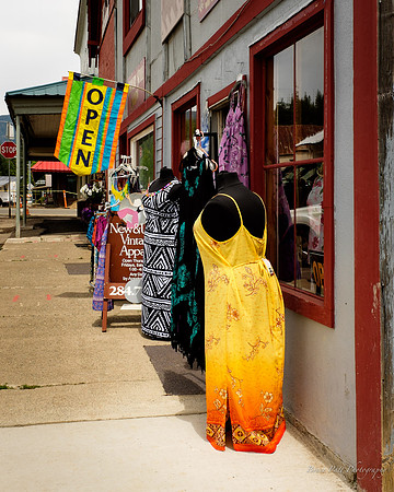 Greenville, Calif. thrift shop
