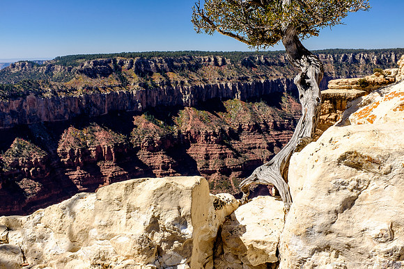 North Rim, Grand Canyon