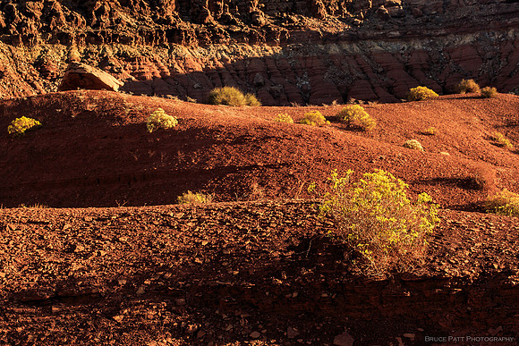 Sunrise, Marble Canyon, Ariz.