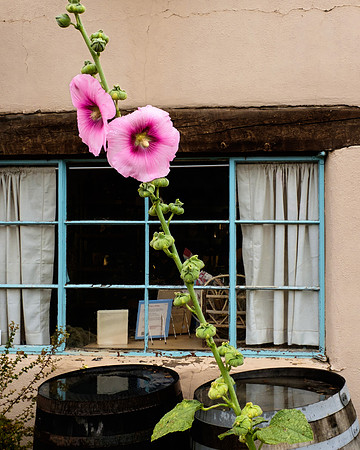 Kit Carson home, Taos, N.M.