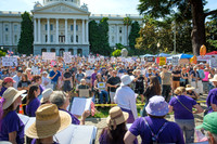 "No Kings Day" protest rally 2025