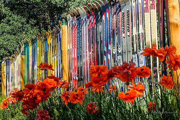 Alleyway fence, Leadville, Colo.