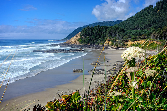 Central Oregon coast