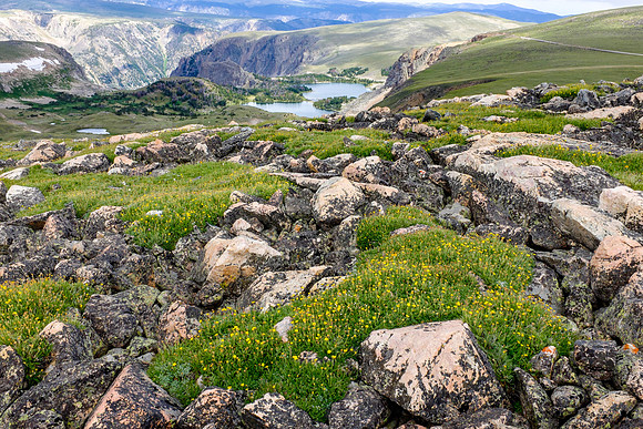 Beartooth Pass, Montana