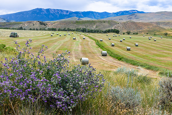 Chief Joseph Scenic Byway, Wyoming