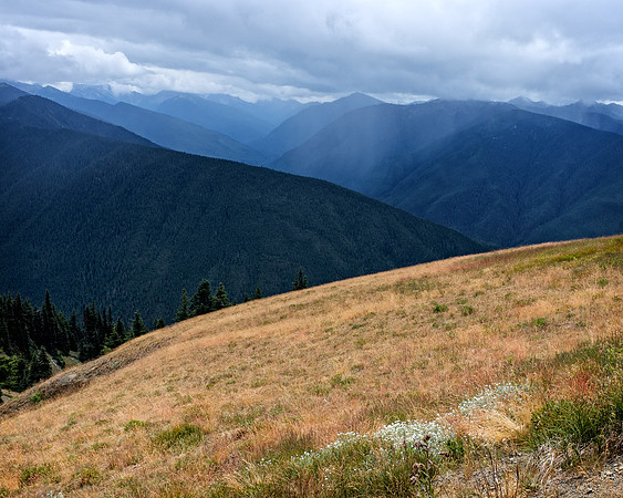 Hurricane Ridge, Olympic Nat'l Park, Washington